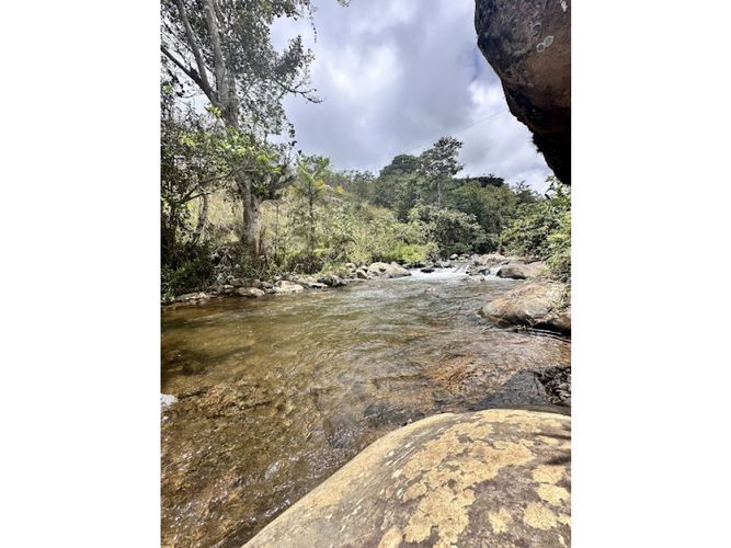 Finca en Venta en El queremal, Dagua - Miniatura 2