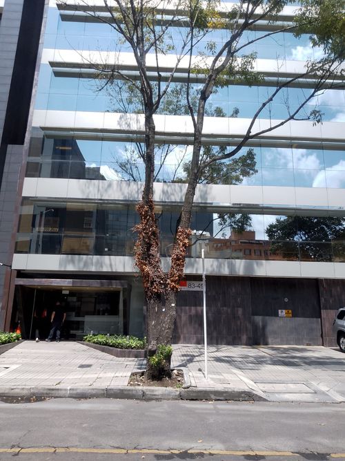 Oficina en  Arriendo en El Lago, Bogotá - Miniatura 25