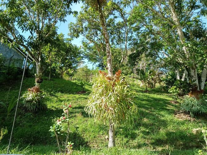 Finca en  Venta en El hatillo, Barbosa - Miniatura 5