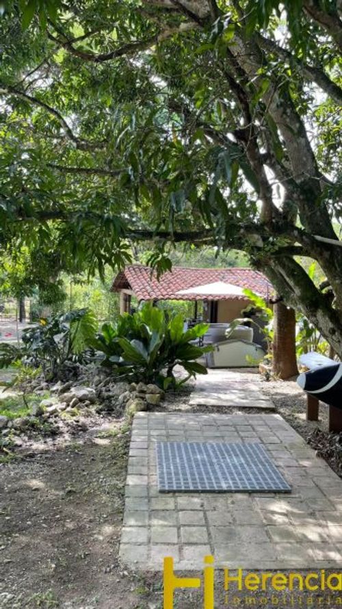 Finca en arriendo en Otra banda, Sopetran - Miniatura 19