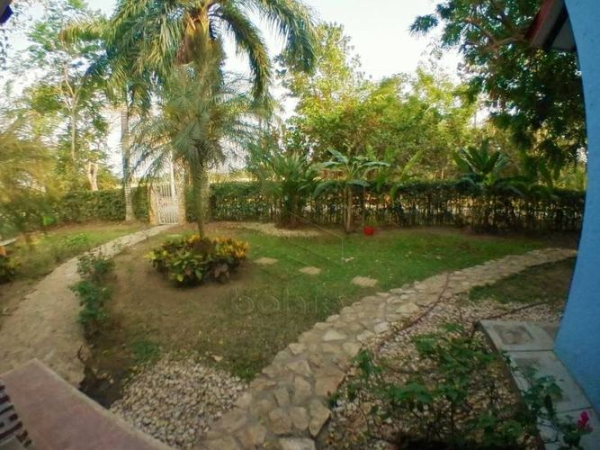 Finca en Arriendo en Palma verde, Montería - Miniatura 3