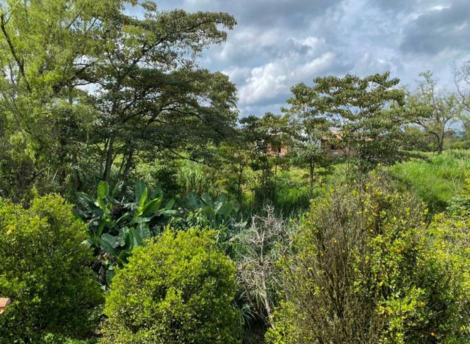 Finca en  Arriendo en San antonio, Rionegro - Imagen 1