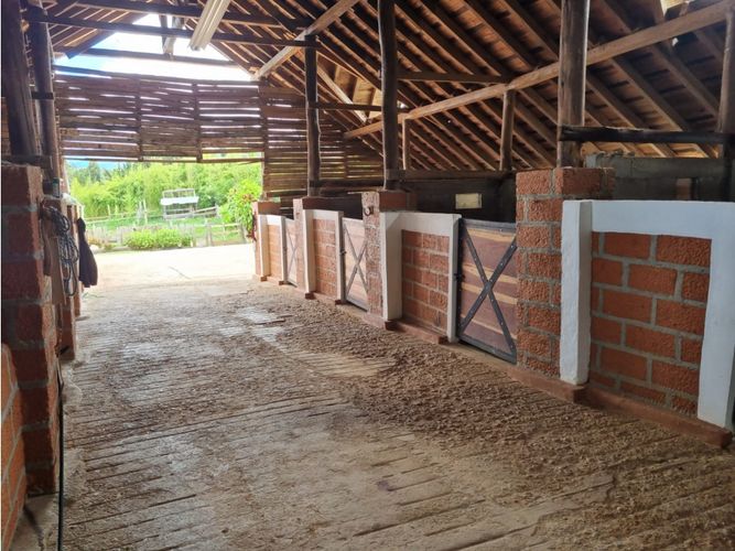 Finca en Venta en Barro blanco, Rionegro - Miniatura 10