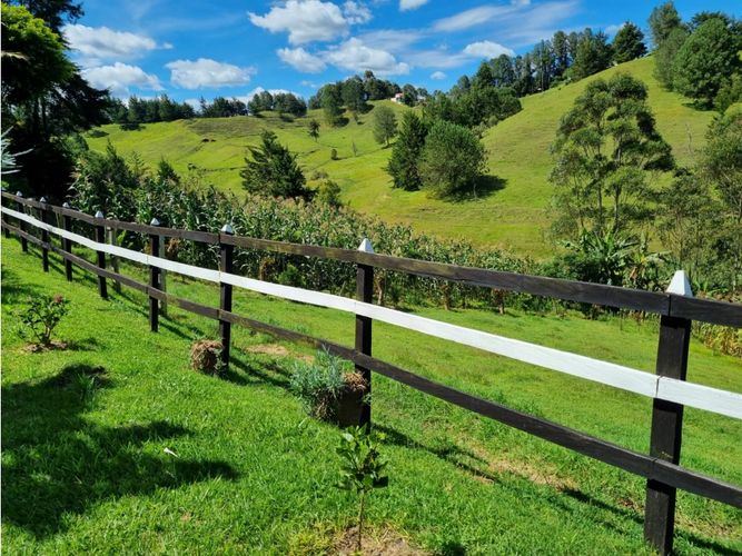 Finca en Venta en Barro blanco, Rionegro - Miniatura 16