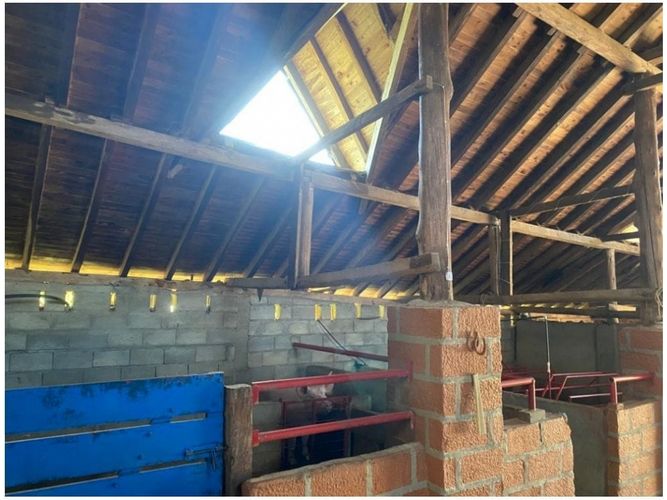 Finca en Venta en Barro blanco, Rionegro - Miniatura 20