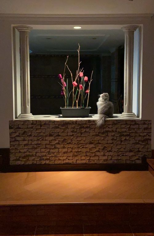 Casa en Arriendo en Sierras del moral, Bogotá - Miniatura 21