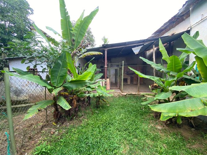 Finca en Arriendo en Ruitoque, Floridablanca - Miniatura 13