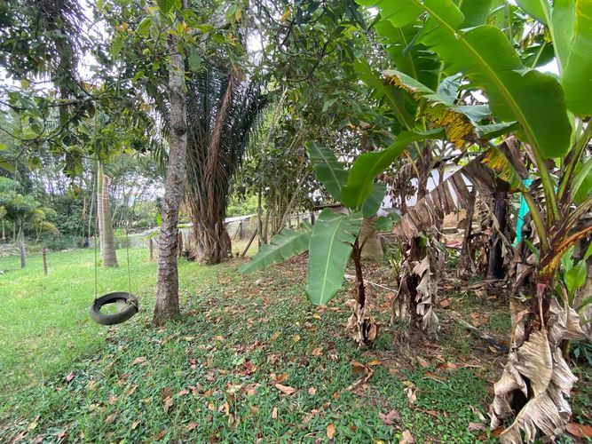 Finca en Arriendo en Ruitoque, Floridablanca - Miniatura 22