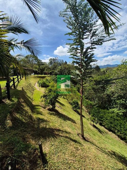 Finca en Arriendo en Santa ana, Rionegro - Miniatura 4