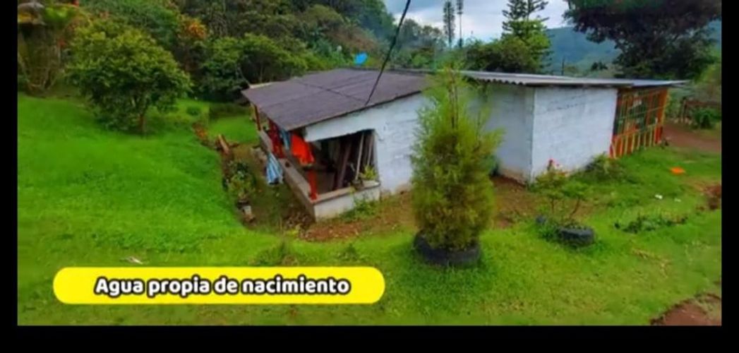 Finca en Venta en San ramon, Santa rosa de cabal - Miniatura 3