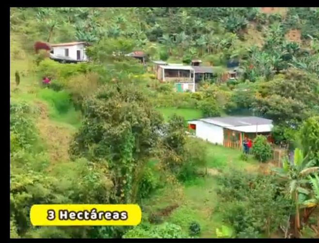 Finca en Venta en San ramon, Santa rosa de cabal - Miniatura 7