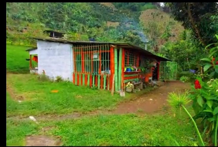 Finca en Venta en San ramon, Santa rosa de cabal - Miniatura 8