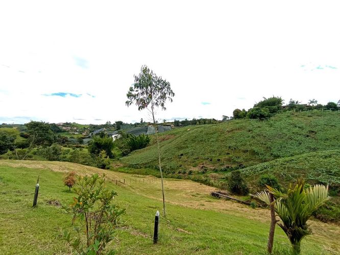 Finca en Arriendo en La palma, El carmen de viboral - Miniatura 26