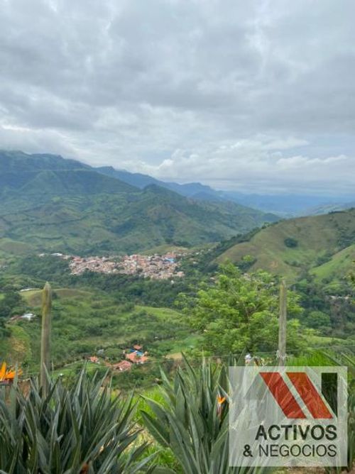 Finca en venta en La palmira, Hispania - Miniatura 5