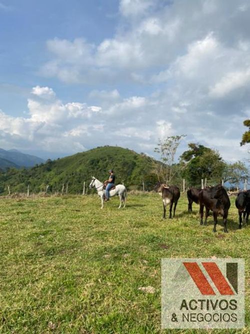 Finca en venta en La palmira, Hispania - Miniatura 6