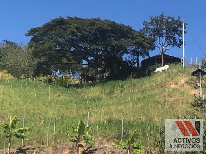 Finca en venta en La palmira, Hispania - Miniatura 7