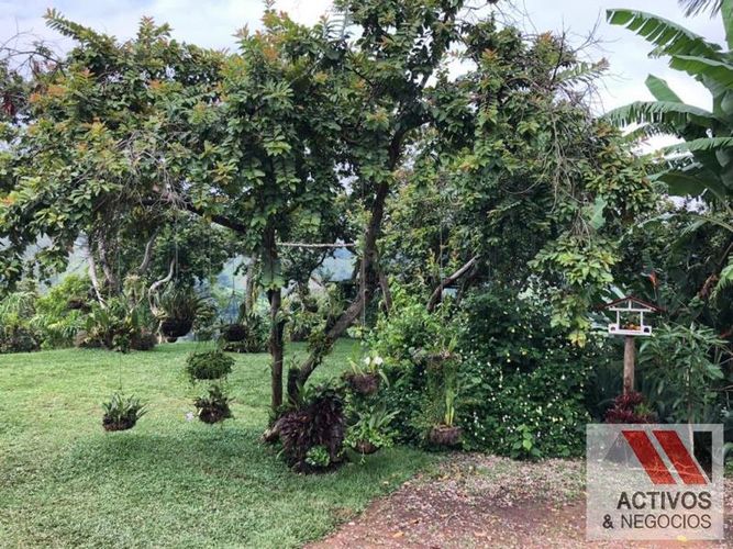 Finca en venta en La palmira, Hispania - Miniatura 10