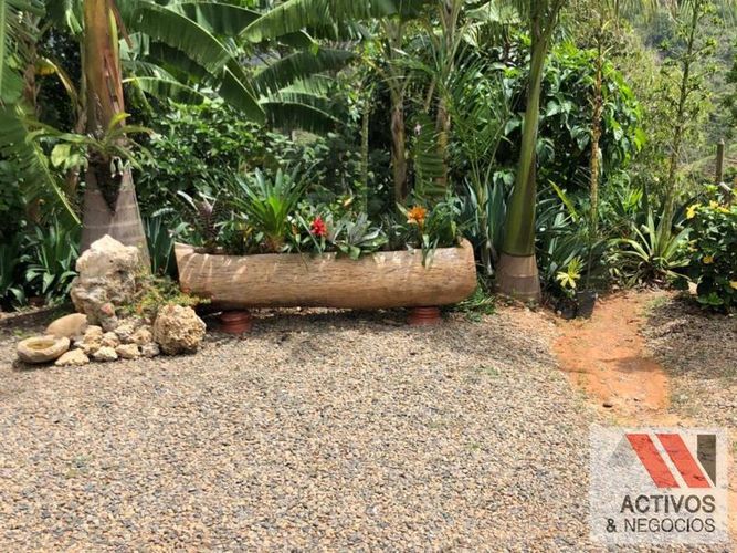 Finca en venta en La palmira, Hispania - Miniatura 11