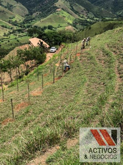 Finca en venta en La palmira, Hispania - Miniatura 13