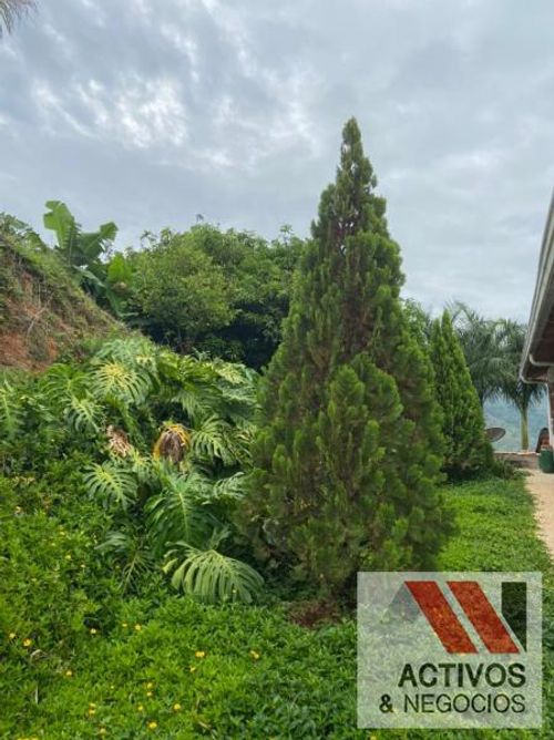 Finca en venta en La palmira, Hispania - Miniatura 20