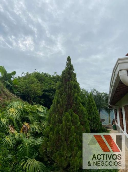 Finca en venta en La palmira, Hispania - Miniatura 22