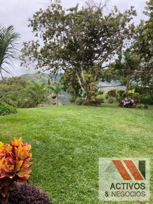 Finca en venta en La palmira, Hispania - Miniatura 25