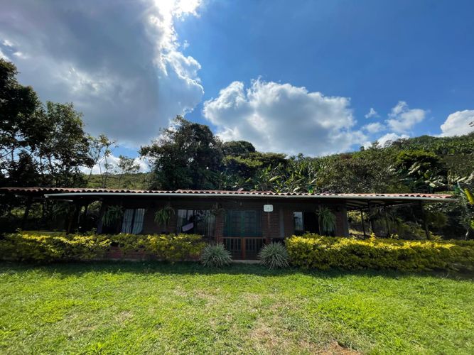 Finca en  Venta en Anserma - Miniatura 3