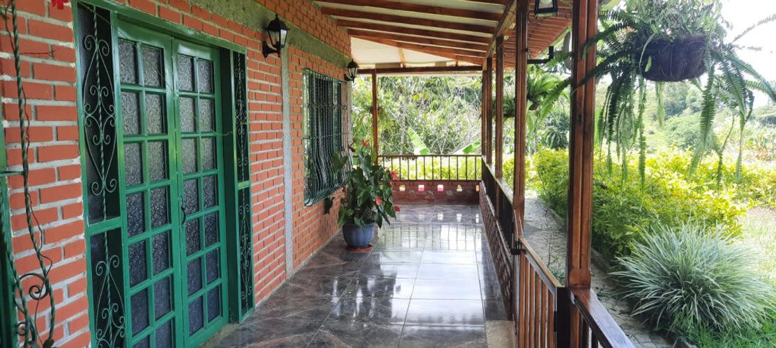 Finca en  Venta en Anserma - Miniatura 11