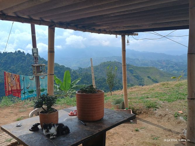Finca en  Venta en Combia, Pereira - Miniatura 3
