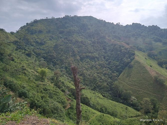 Finca en  Venta en Combia, Pereira - Miniatura 8