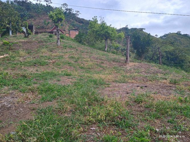 Finca en  Venta en Combia, Pereira - Miniatura 10
