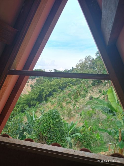 Finca en  Venta en Combia, Pereira - Miniatura 15