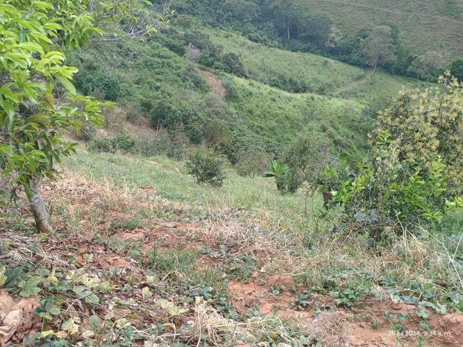 Finca en  Venta en Combia, Pereira - Miniatura 18
