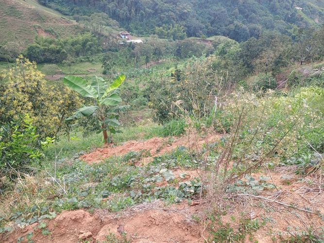 Finca en  Venta en Combia, Pereira - Miniatura 19