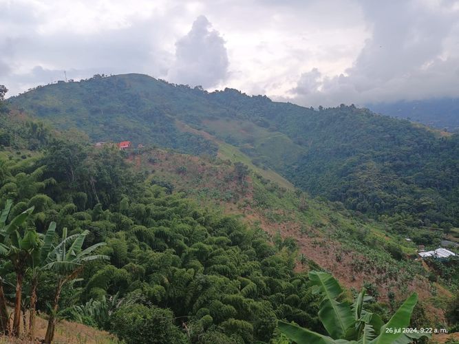 Finca en  Venta en Combia, Pereira - Miniatura 20