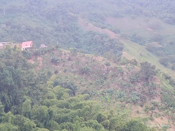 Finca en  Venta en Combia, Pereira - Miniatura 21