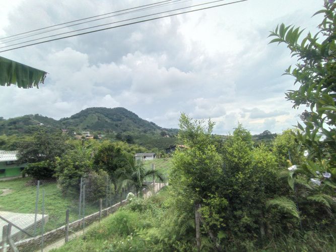 Finca en  Venta en Pereira - Miniatura 8