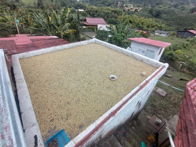 Finca en  Venta en Pereira - Miniatura 10