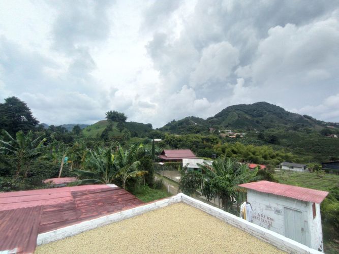 Finca en  Venta en Pereira - Miniatura 12