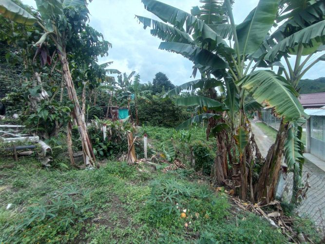 Finca en  Venta en Pereira - Miniatura 13