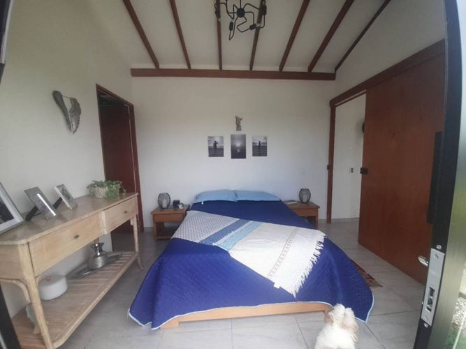 Finca en  Arriendo en La mosca, Rionegro - Miniatura 14