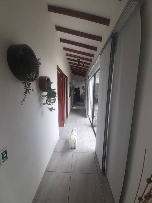 Finca en  Arriendo en La mosca, Rionegro - Miniatura 22