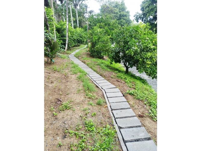 Finca en Venta en Santa fe, Santafe de antioquia - Miniatura 10
