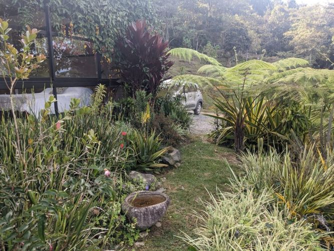 Finca en Arriendo en El tambo, La ceja - Miniatura 2