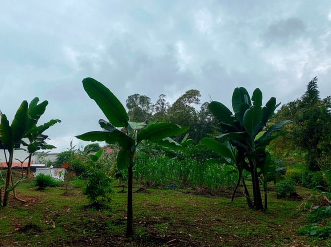 Finca en Venta - Miniatura 16