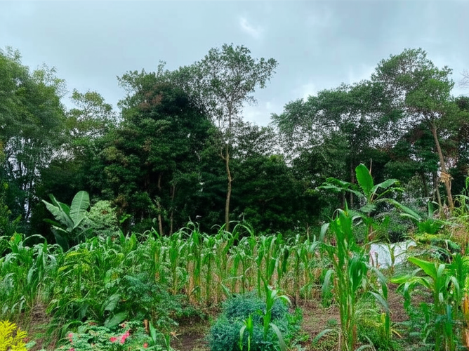 Finca en Venta - Miniatura 19