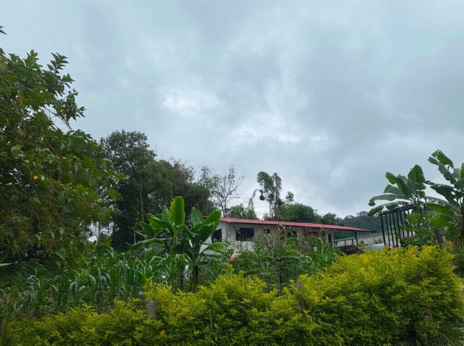 Finca en Venta - Miniatura 20