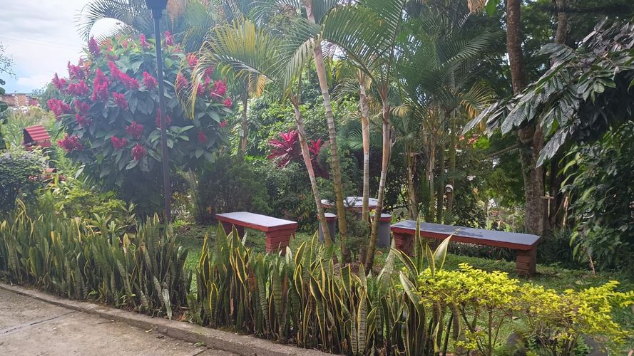 Casa en Venta en Los molinos, Dosquebradas - Miniatura 23