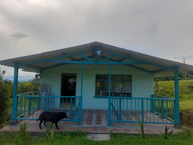Finca en Venta en Llanadas, Circasia - Miniatura 8