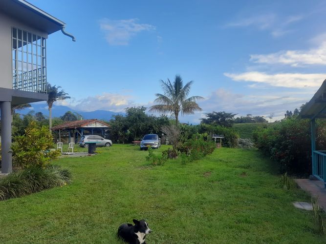Finca en Venta en Llanadas, Circasia - Miniatura 11